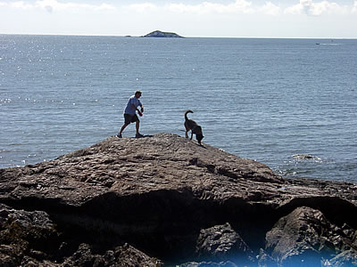 Man & Dog