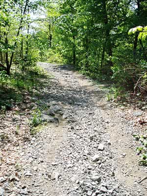 Gravel