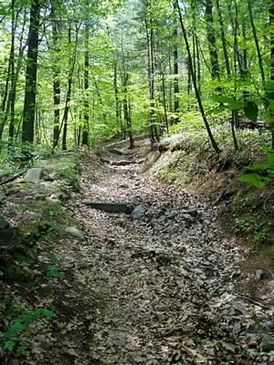 Blue Hills