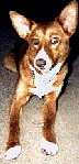 [Billy]